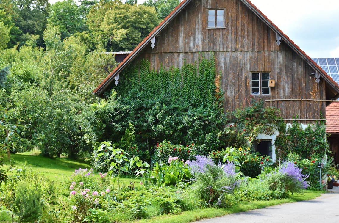 Farmhouse Greens