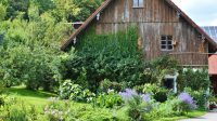 Farmhouse Greens