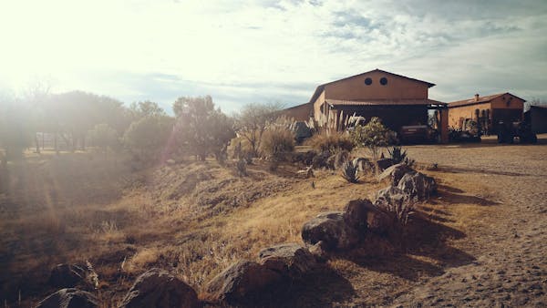 rambling ranch house