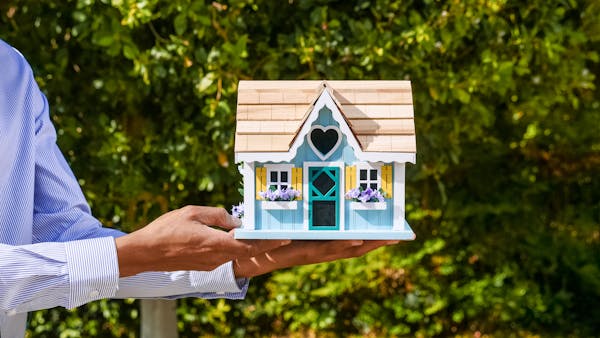 tiny home nation