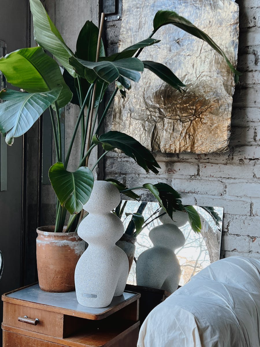 Stylish home interior with a house plant, abstract art, and modern decor elements.