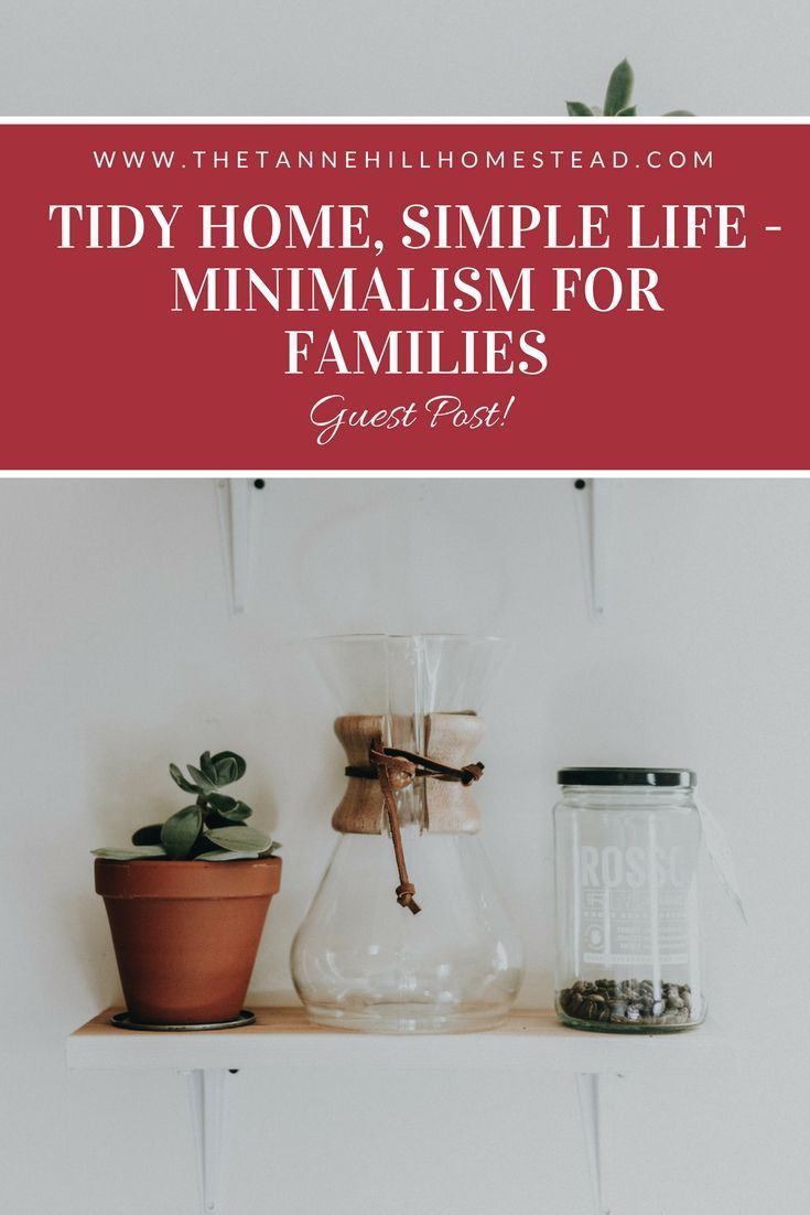 The Family Minimalist Revolution: Decluttering Our Lives, Enriching Our Relationships The Family Minimalist Revolution: Decluttering Our Lives, Enriching Our Relationships